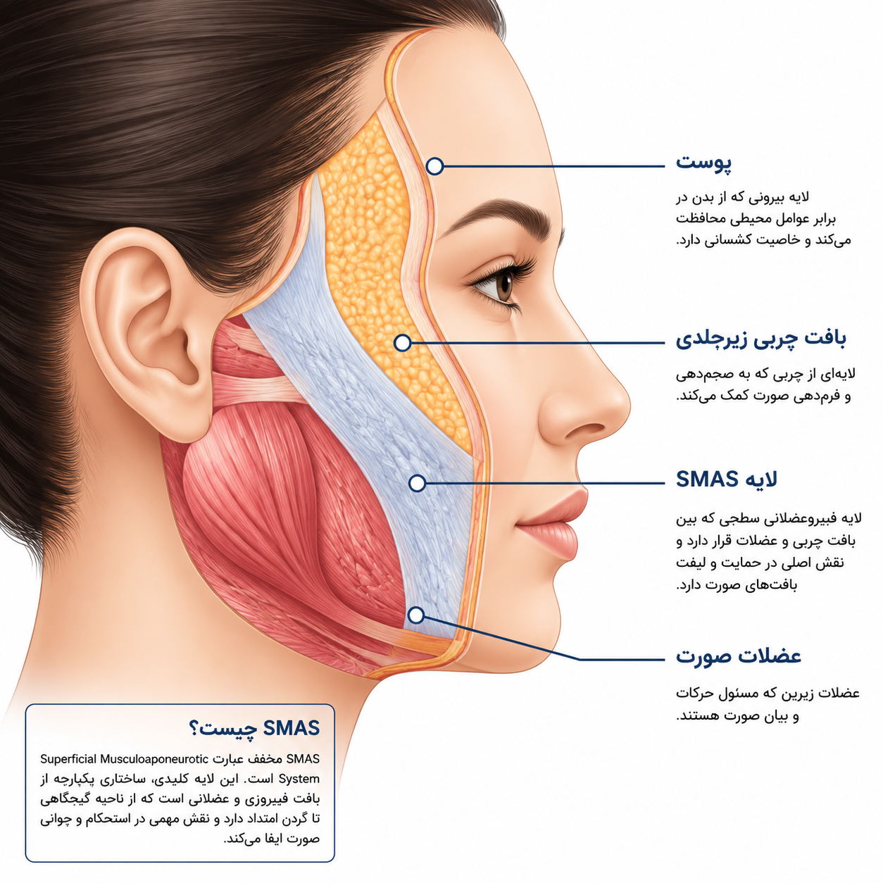 علائم افتادگی صورت: افتادگی گونه، خط لبخند عمیق، شل شدن خط فک و غبغب زیر چانه