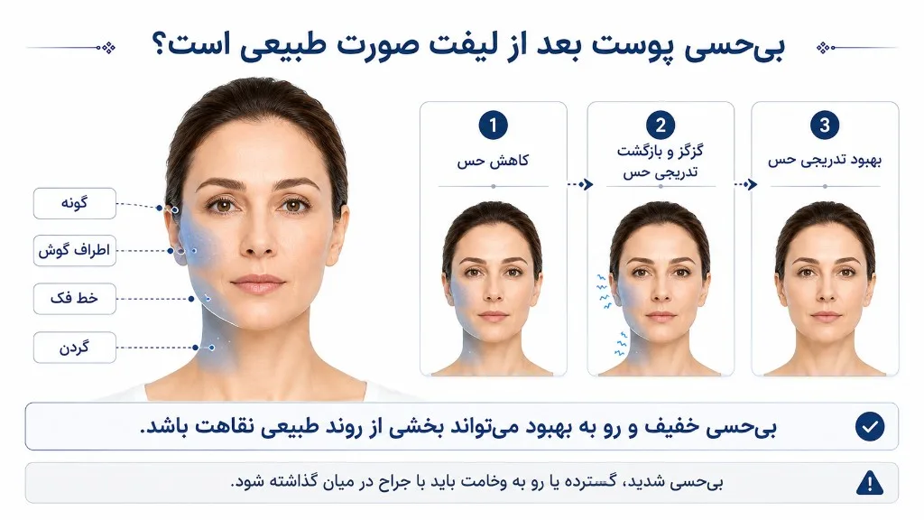 نواحی شایع بی‌حسی پوست بعد از لیفت صورت و مراحل بازگشت تدریجی حس