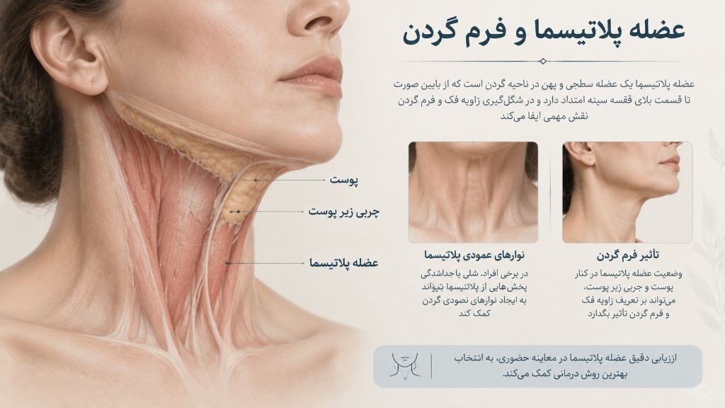 عضله پلاتیسما و فرم گردن
