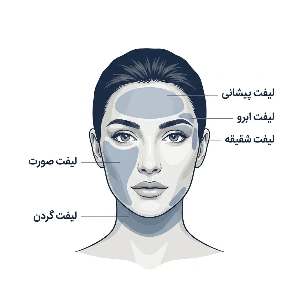 نواحی لیفت صورت، گردن، پیشانی، ابرو و شقیقه